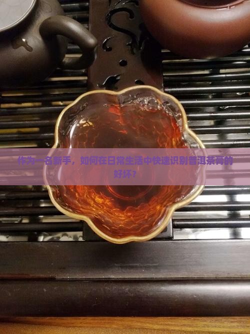 作为一名新手，如何在日常生活中快速识别普洱茶膏的好坏？