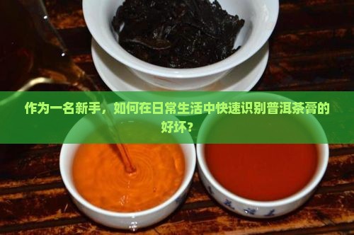 作为一名新手，如何在日常生活中快速识别普洱茶膏的好坏？