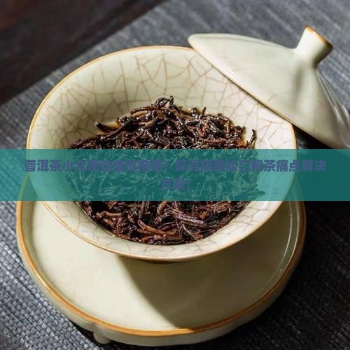普洱茶小众哪些值得推荐？探寻隐藏版口粮茶痛点解决方案！