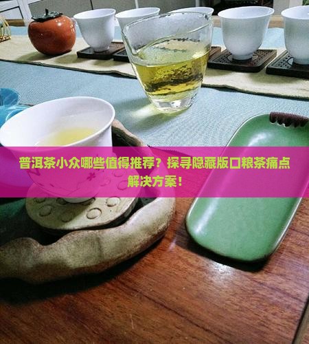 普洱茶小众哪些值得推荐？探寻隐藏版口粮茶痛点解决方案！