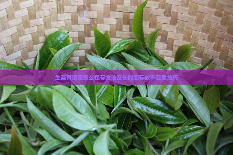 生茶普洱茶怎么保存方法及长时间存放不变质技巧