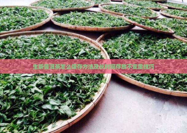 生茶普洱茶怎么保存方法及长时间存放不变质技巧