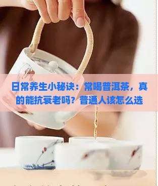 日常养生小秘诀：常喝普洱茶，真的能抗衰老吗？普通人该怎么选？