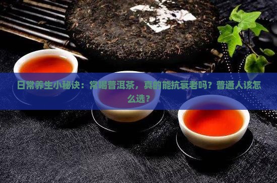 日常养生小秘诀：常喝普洱茶，真的能抗衰老吗？普通人该怎么选？
