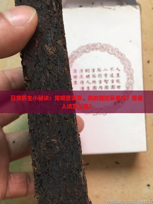 日常养生小秘诀：常喝普洱茶，真的能抗衰老吗？普通人该怎么选？