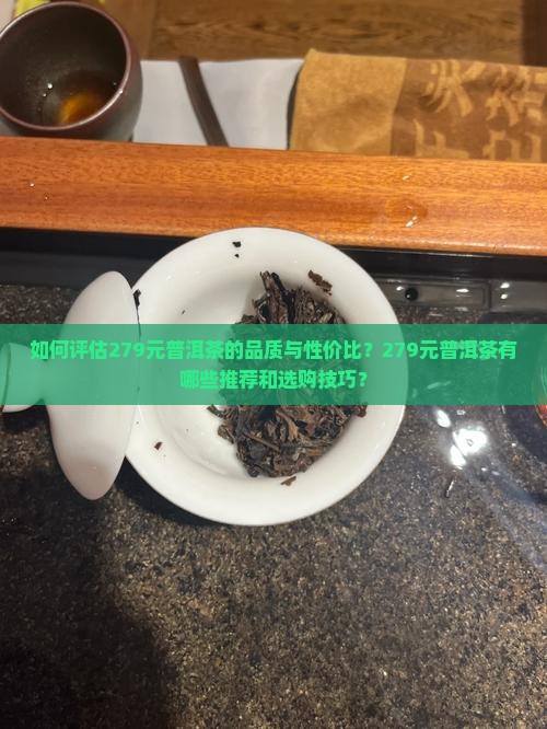 如何评估279元普洱茶的品质与性价比？279元普洱茶有哪些推荐和选购技巧？