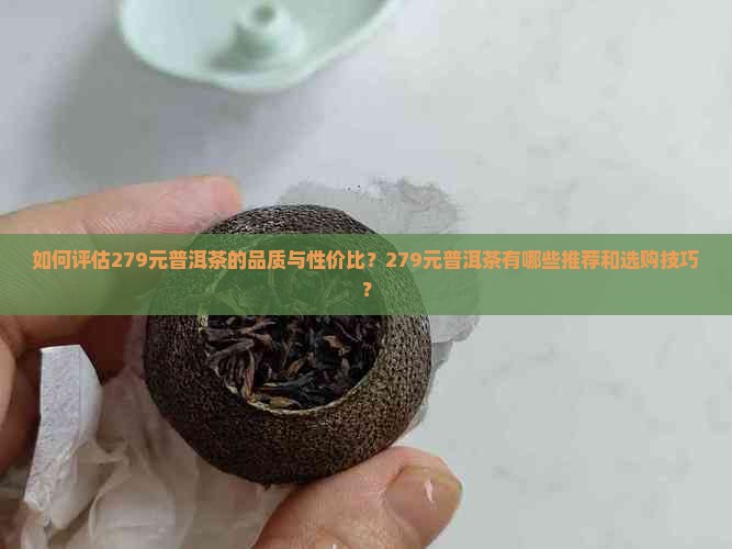 如何评估279元普洱茶的品质与性价比？279元普洱茶有哪些推荐和选购技巧？