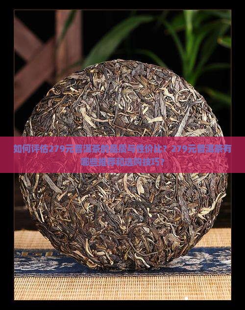 如何评估279元普洱茶的品质与性价比？279元普洱茶有哪些推荐和选购技巧？