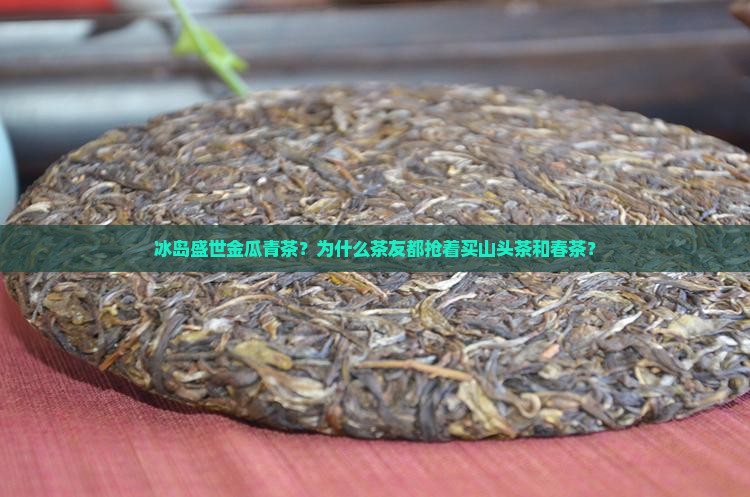 冰岛盛世金瓜青茶？为什么茶友都抢着买山头茶和春茶？