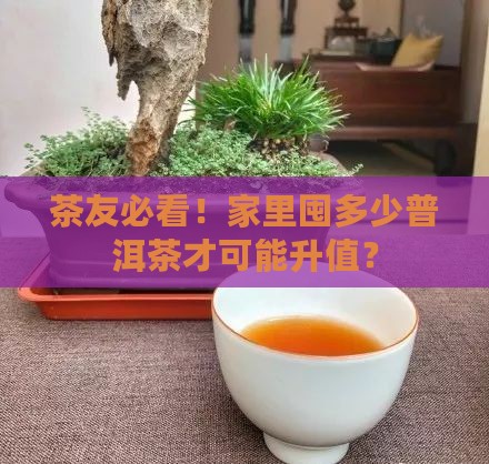 茶友必看！家里囤多少普洱茶才可能升值？