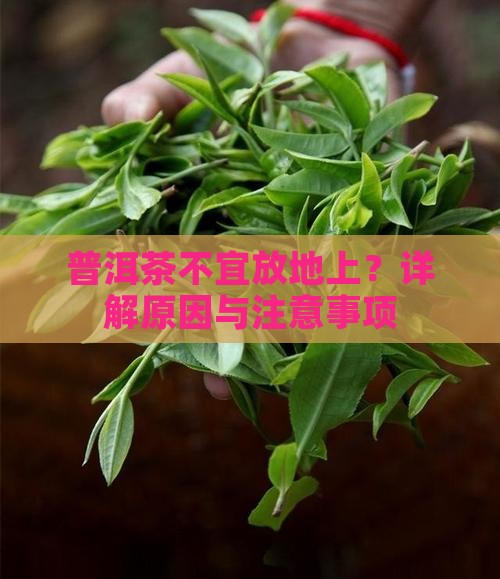 普洱茶不宜放地上？详解原因与注意事项