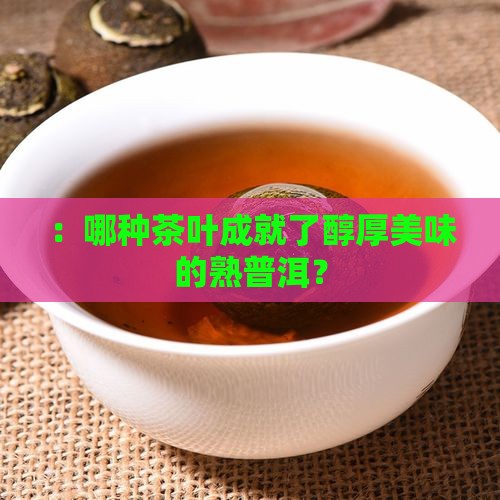 ：哪种茶叶成就了醇厚美味的熟普洱？