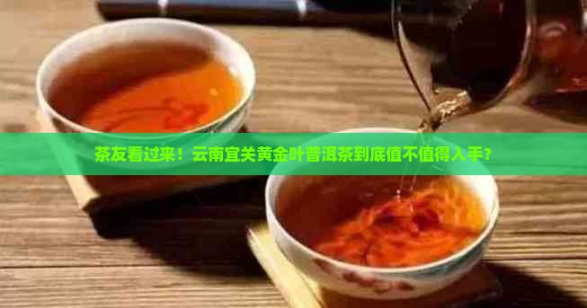 茶友看过来！云南宜关黄金叶普洱茶到底值不值得入手？