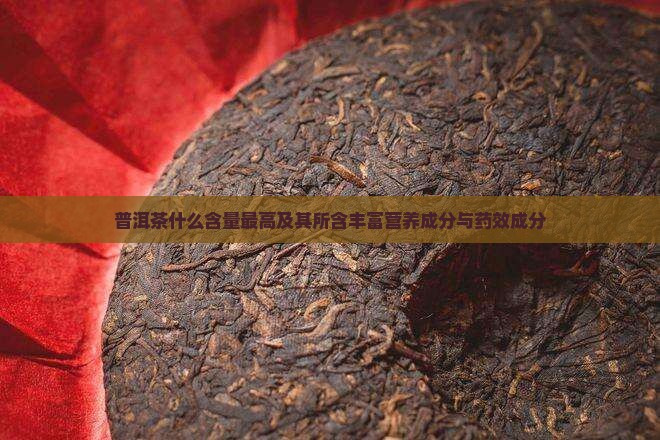 普洱茶什么含量最高及其所含丰富营养成分与药效成分