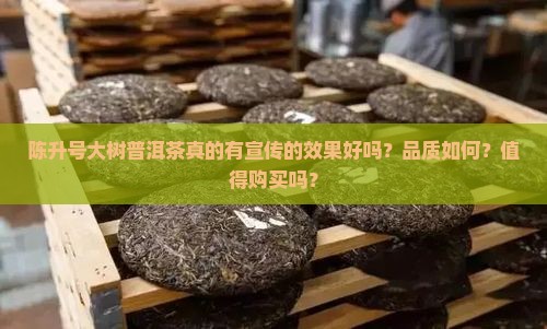 陈升号大树普洱茶真的有宣传的效果好吗？品质如何？值得购买吗？