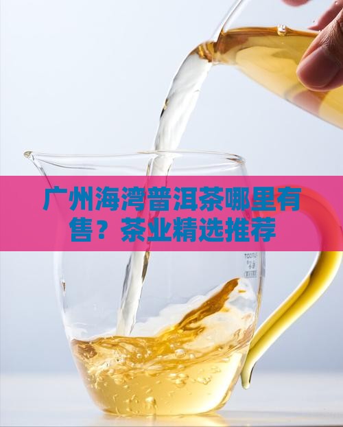 广州海湾普洱茶哪里有售？茶业精选推荐