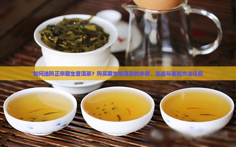 如何选购正宗藏生普洱茶？购买藏生普洱茶的步骤、渠道与鉴别方法详解