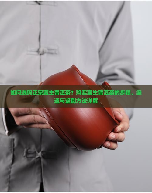 如何选购正宗藏生普洱茶？购买藏生普洱茶的步骤、渠道与鉴别方法详解