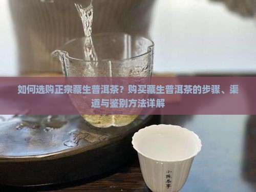 如何选购正宗藏生普洱茶？购买藏生普洱茶的步骤、渠道与鉴别方法详解