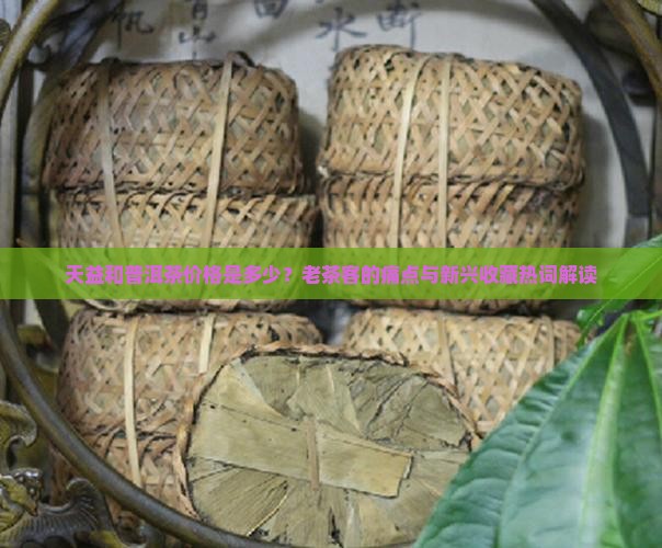 天益和普洱茶价格是多少？老茶客的痛点与新兴收藏热词解读
