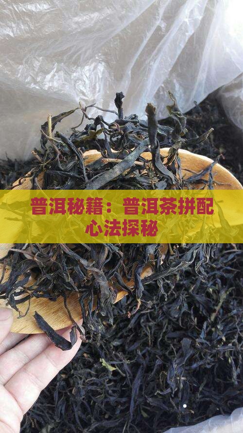 普洱秘籍：普洱茶拼配心法探秘