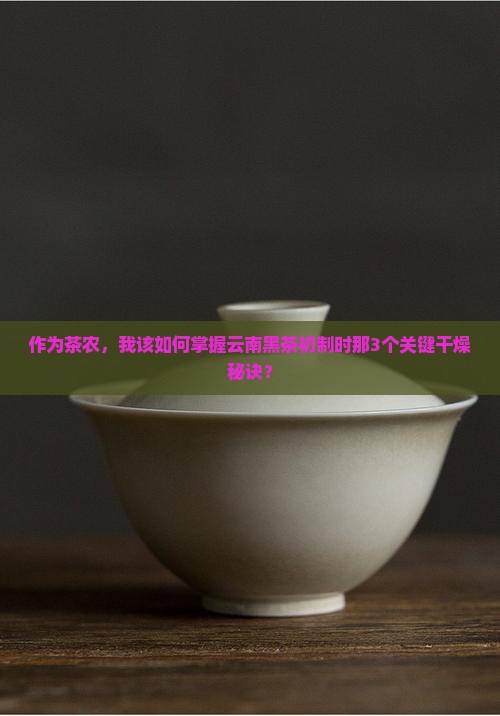 作为茶农，我该如何掌握云南黑茶初制时那3个关键干燥秘诀？
