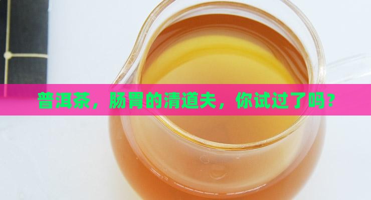 普洱茶，肠胃的清道夫，你试过了吗？