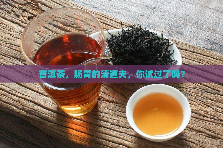 普洱茶，肠胃的清道夫，你试过了吗？