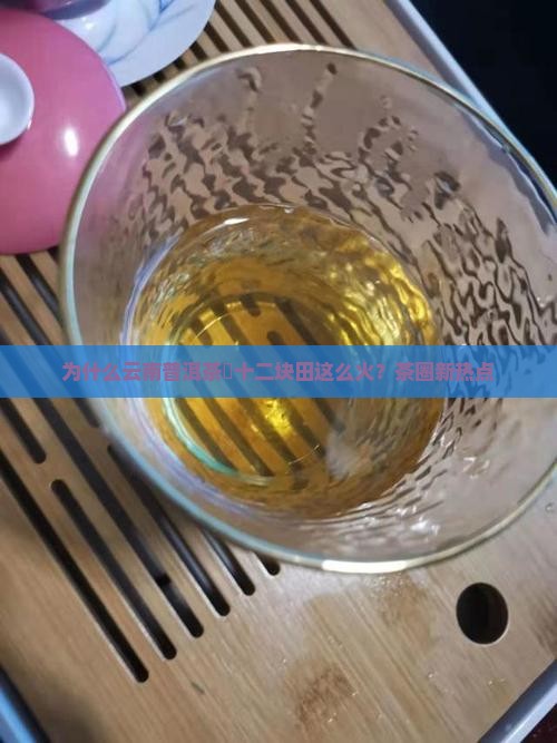 为什么云南普洱茶乚十二块田这么火？茶圈新热点