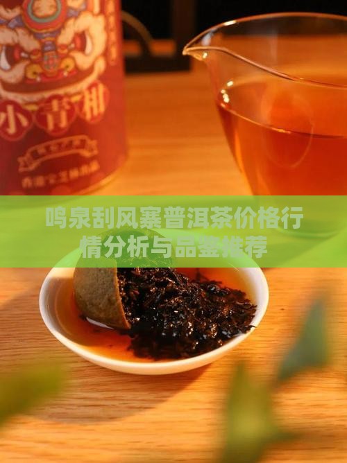 鸣泉刮风寨普洱茶价格行情分析与品鉴推荐
