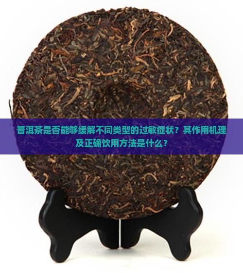 普洱茶是否能够缓解不同类型的过敏症状？其作用机理及正确饮用方法是什么？