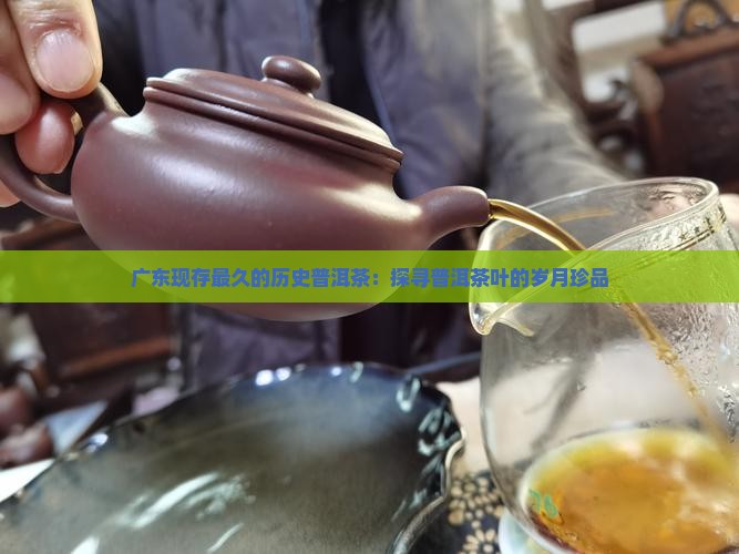 广东现存最久的历史普洱茶：探寻普洱茶叶的岁月珍品