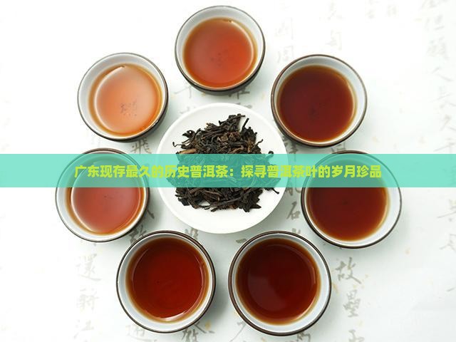 广东现存最久的历史普洱茶：探寻普洱茶叶的岁月珍品