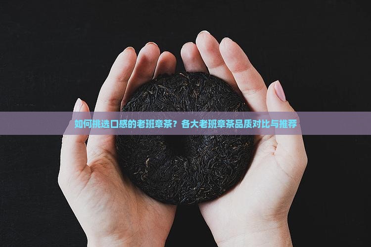 如何挑选口感的老班章茶？各大老班章茶品质对比与推荐