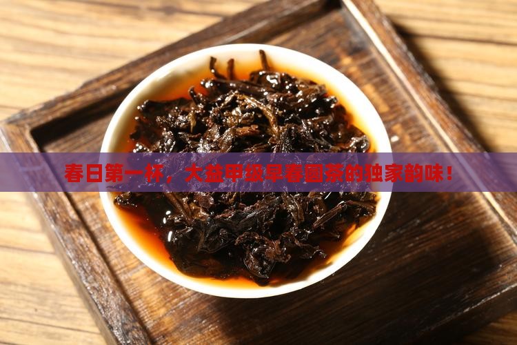 春日第一杯，大益甲级早春圆茶的独家韵味！