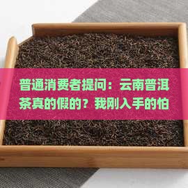 普通消费者提问：云南普洱茶真的假的？我刚入手的怕踩雷