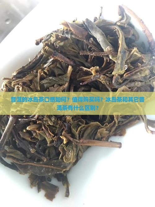 普洱的冰岛茶口感如何？值得购买吗？冰岛茶和其它普洱茶有什么区别？