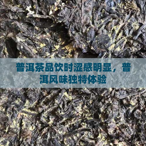 普洱茶品饮时涩感明显，普洱风味独特体验
