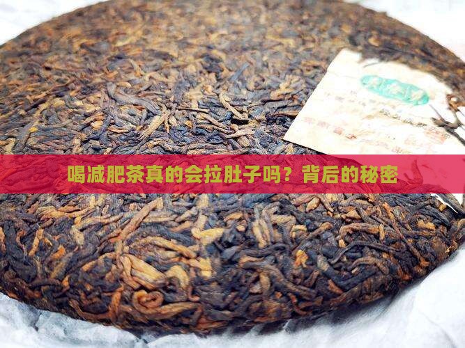喝减肥茶真的会拉肚子吗？背后的秘密