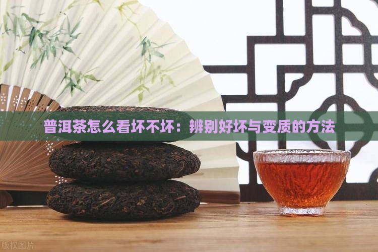 普洱茶怎么看坏不坏：辨别好坏与变质的方法
