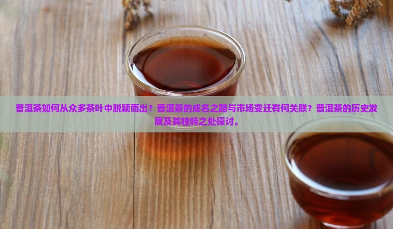 普洱茶如何从众多茶叶中脱颖而出？普洱茶的成名之路与市场变迁有何关联？普洱茶的历史发展及其独特之处探讨。