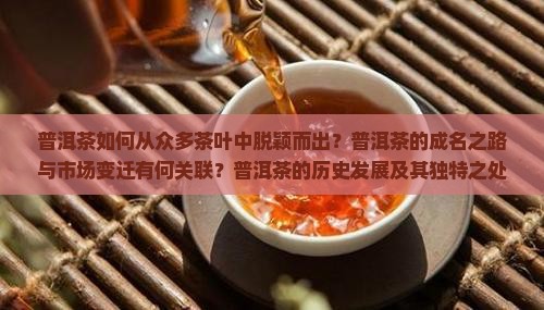 普洱茶如何从众多茶叶中脱颖而出？普洱茶的成名之路与市场变迁有何关联？普洱茶的历史发展及其独特之处探讨。