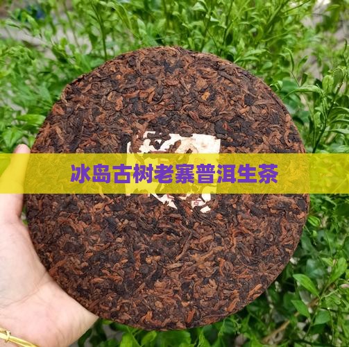 冰岛古树老寨普洱生茶