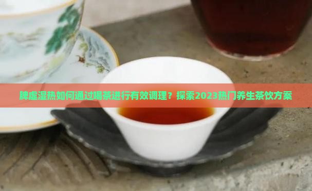 脾虚湿热如何通过喝茶进行有效调理？探索2023热门养生茶饮方案