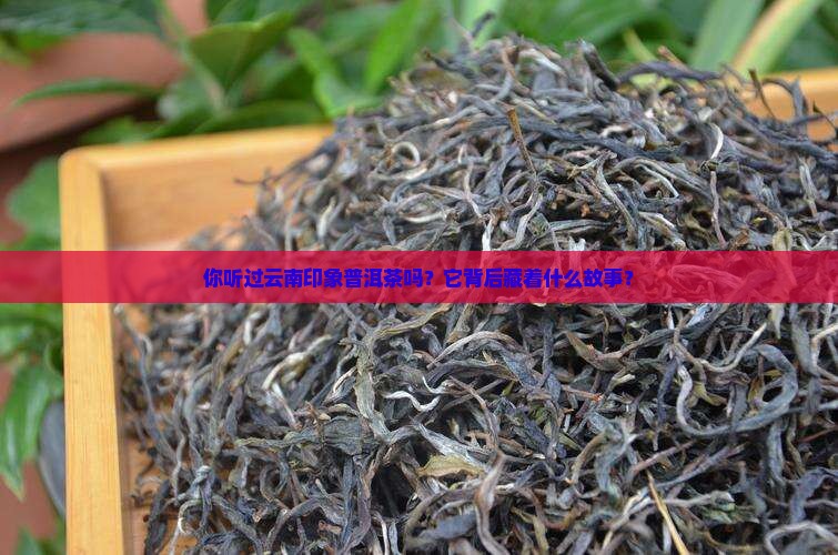 你听过云南印象普洱茶吗？它背后藏着什么故事？