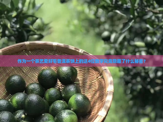 作为一个茶艺爱好宅普洱茶饼上的这4位数字究竟隐藏了什么秘密？