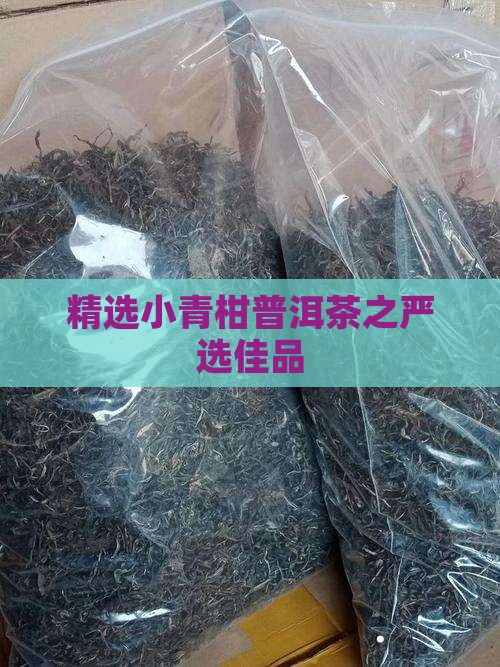 精选小青柑普洱茶之严选佳品 精选小青柑普洱茶之严选佳品