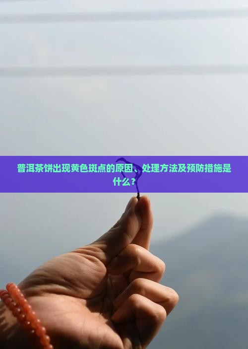 普洱茶饼出现黄色斑点的原因、处理方法及预防措施是什么？