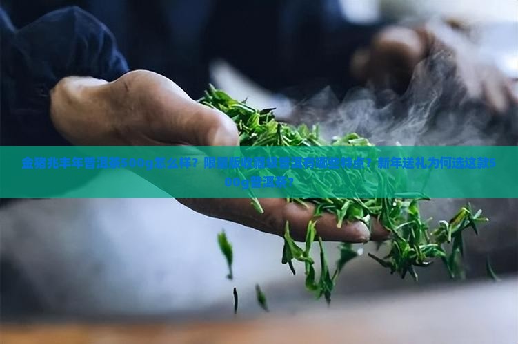 金猪兆丰年普洱茶500g怎么样？限量版收藏级普洱有哪些特点？新年送礼为何选这款500g普洱茶？