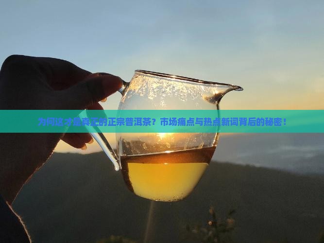 为何这才是真正的正宗普洱茶？市场痛点与热点新词背后的秘密！